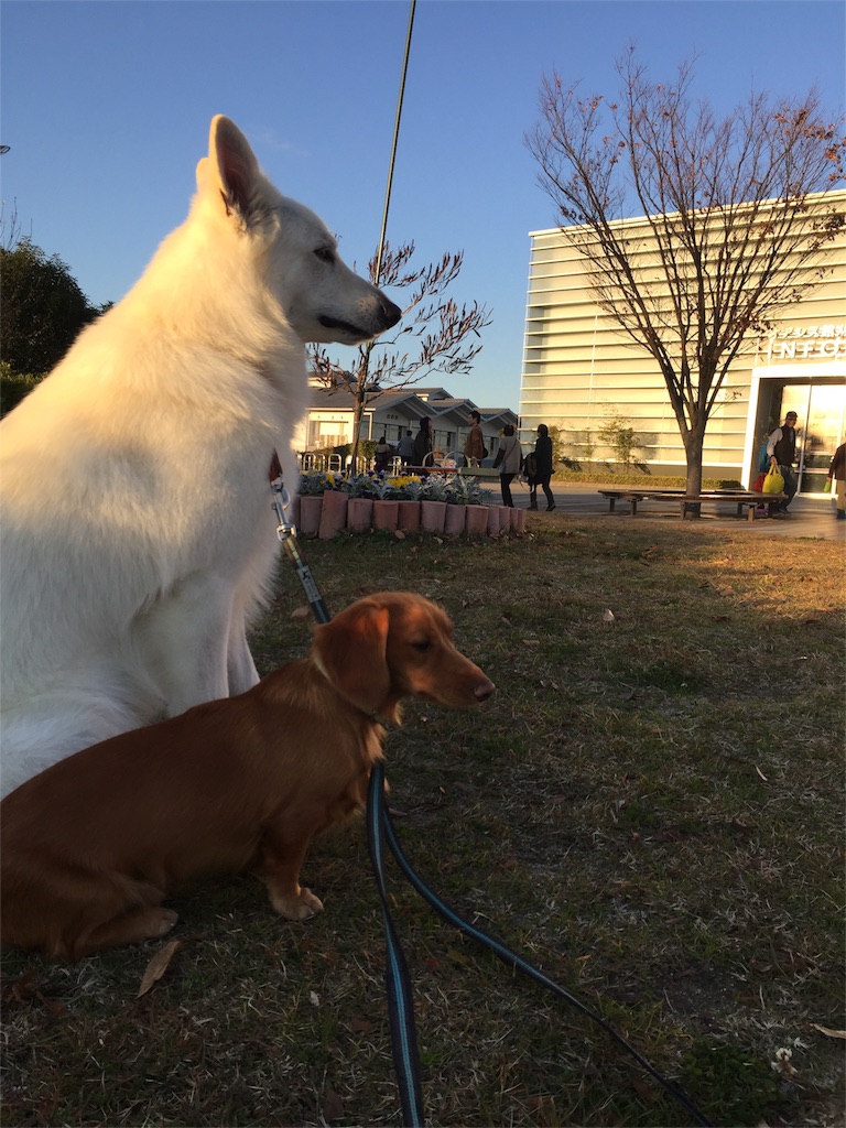 f:id:Lien0927:20171202190635j:image f:id:Lien0927:20171202190635j:image