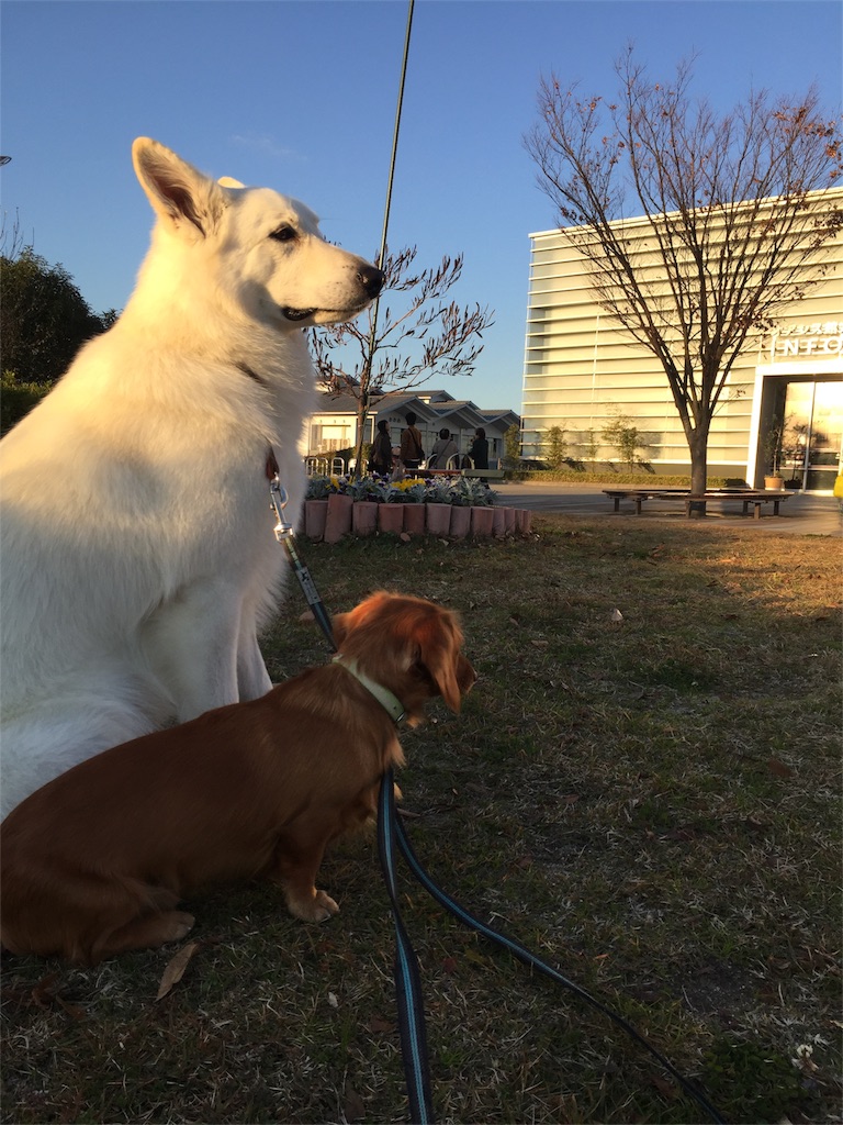 f:id:Lien0927:20171202190640j:image f:id:Lien0927:20171202190640j:image