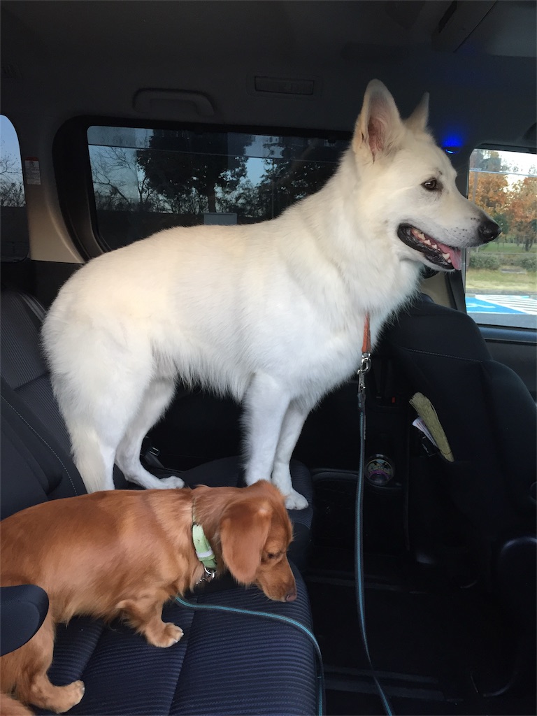 f:id:Lien0927:20171202191247j:image f:id:Lien0927:20171202191247j:image