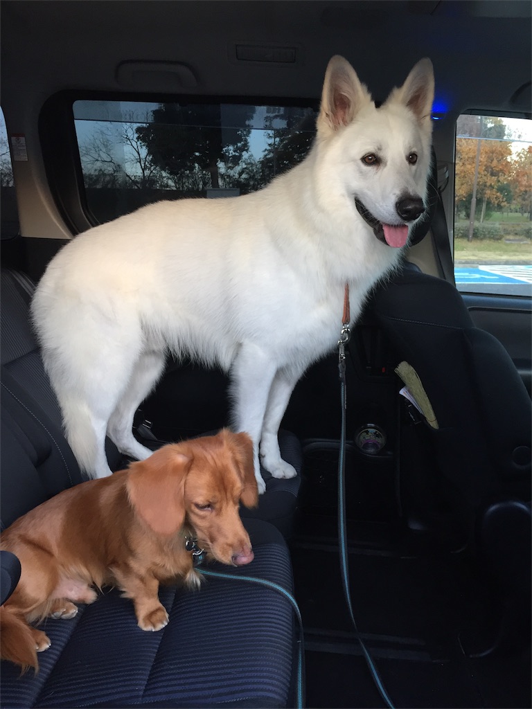 f:id:Lien0927:20171202191250j:image f:id:Lien0927:20171202191250j:image