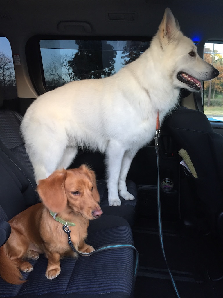 f:id:Lien0927:20171202191253j:image f:id:Lien0927:20171202191253j:image