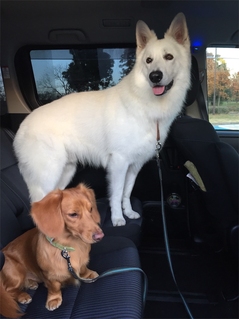 f:id:Lien0927:20171202191257j:image f:id:Lien0927:20171202191257j:image