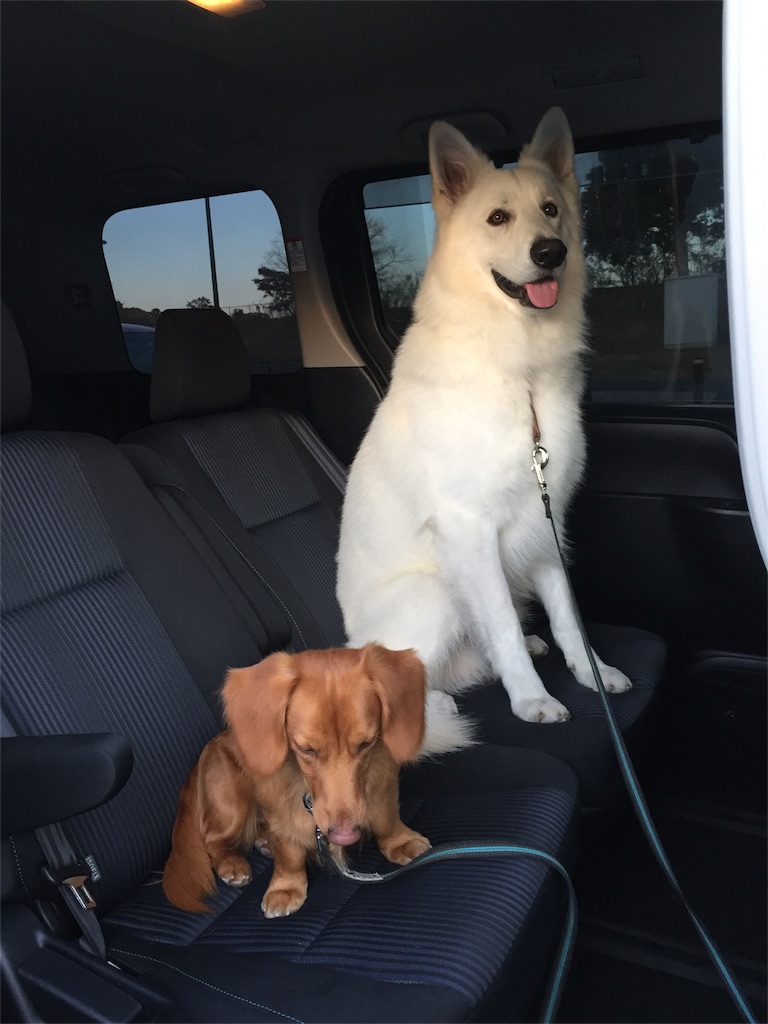 f:id:Lien0927:20171202191352j:image f:id:Lien0927:20171202191352j:image