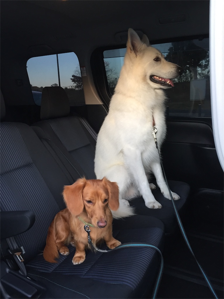 f:id:Lien0927:20171202191355j:image f:id:Lien0927:20171202191355j:image