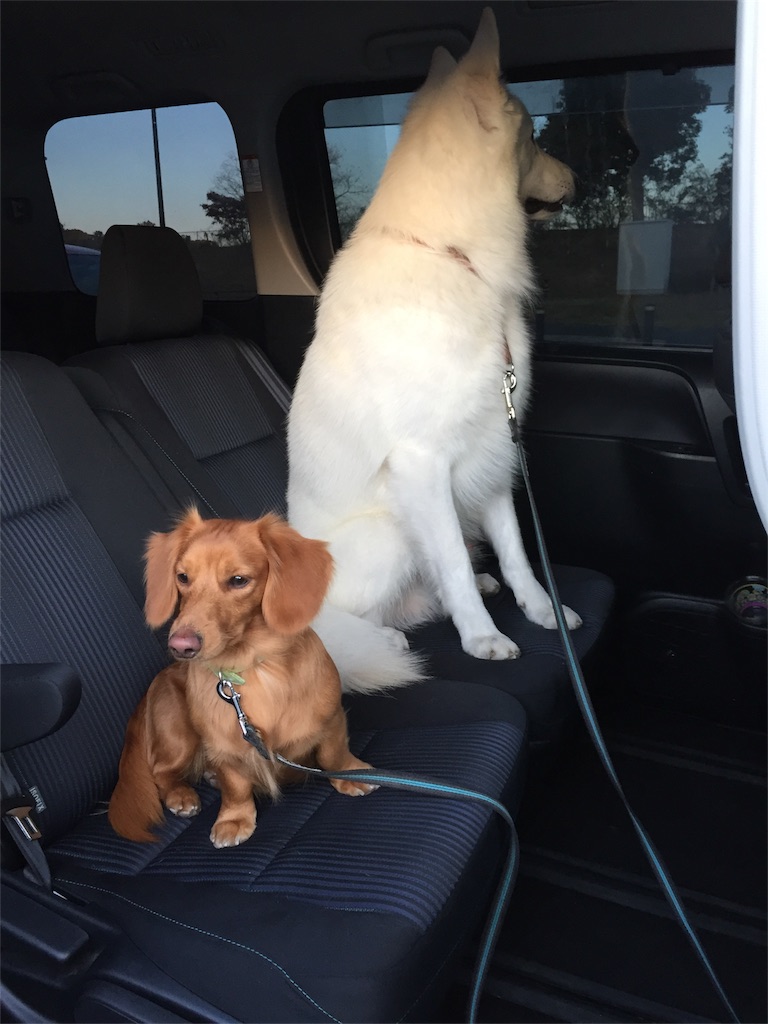 f:id:Lien0927:20171202191358j:image f:id:Lien0927:20171202191358j:image