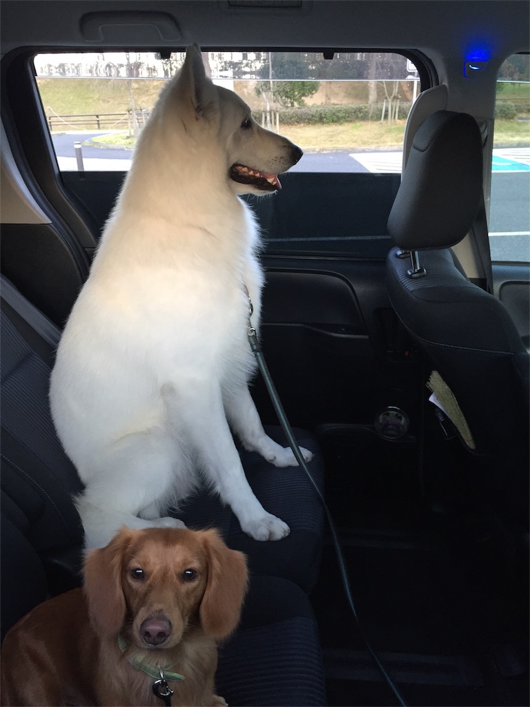 f:id:Lien0927:20171202191403j:image f:id:Lien0927:20171202191403j:image