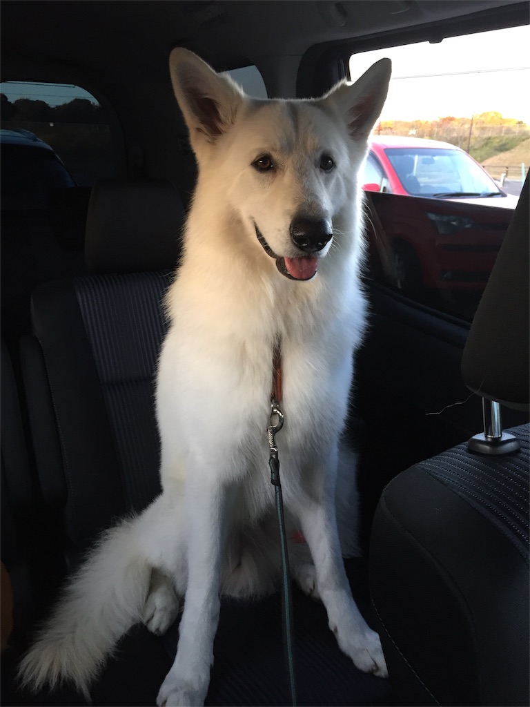 f:id:Lien0927:20171202191529j:image f:id:Lien0927:20171202191529j:image