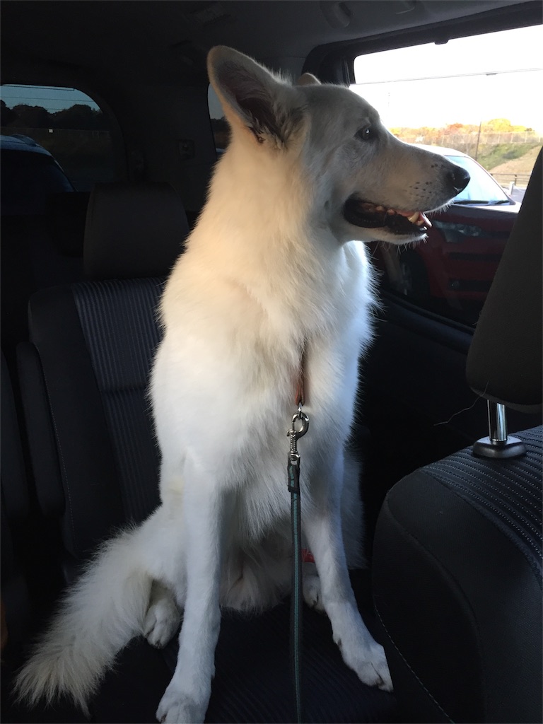 f:id:Lien0927:20171202191537j:image f:id:Lien0927:20171202191537j:image