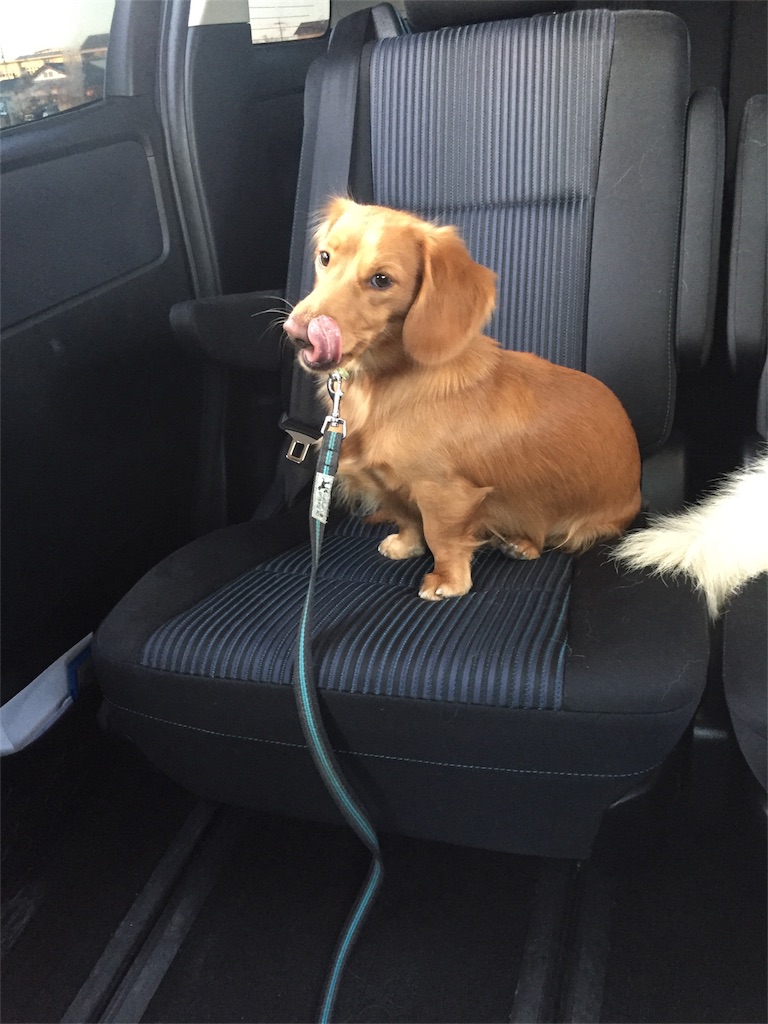 f:id:Lien0927:20171202191751j:image f:id:Lien0927:20171202191751j:image