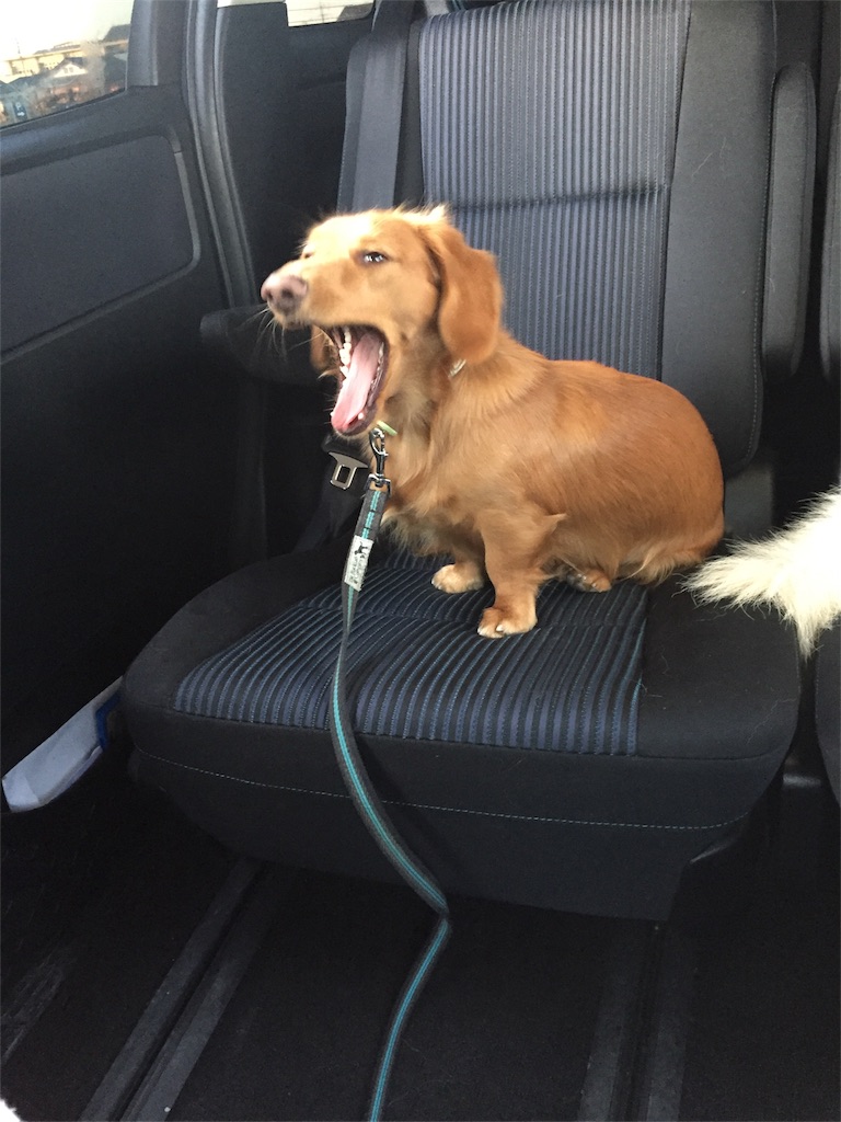 f:id:Lien0927:20171202191800j:image f:id:Lien0927:20171202191800j:image