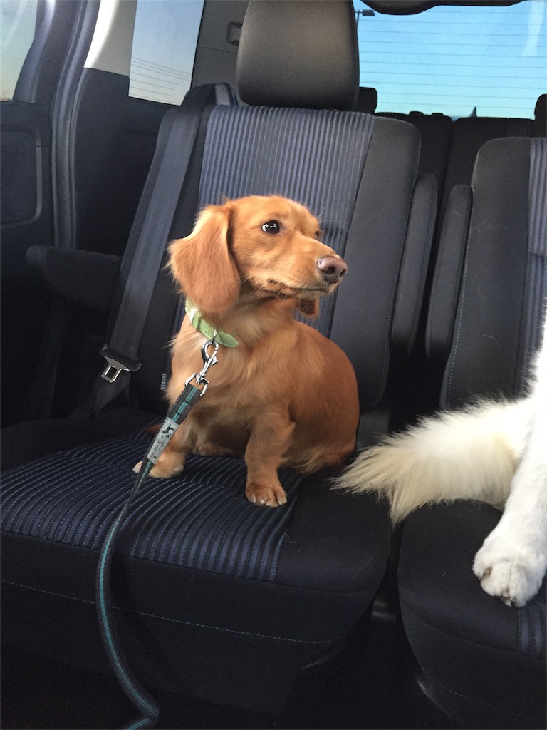 f:id:Lien0927:20171202191903j:image f:id:Lien0927:20171202191903j:image