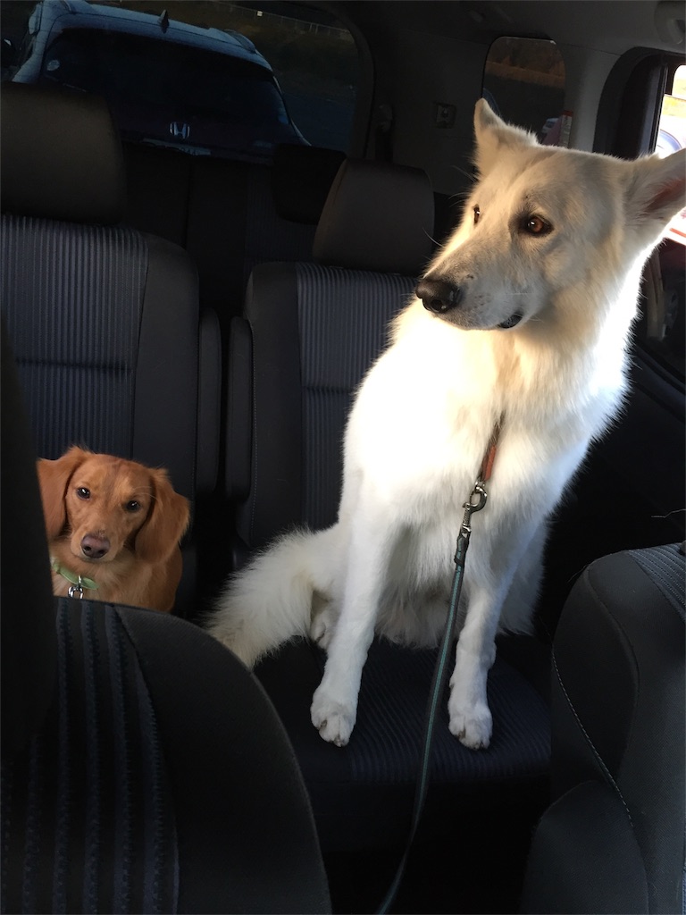 f:id:Lien0927:20171202192049j:image f:id:Lien0927:20171202192049j:image