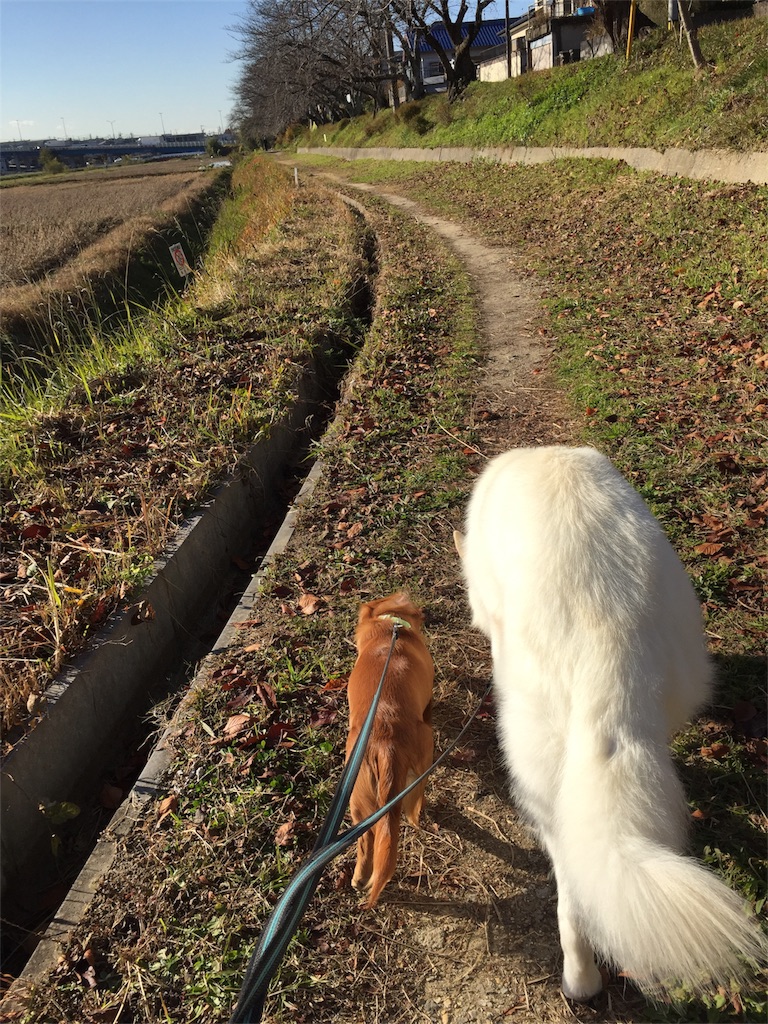 f:id:Lien0927:20171206123059j:image