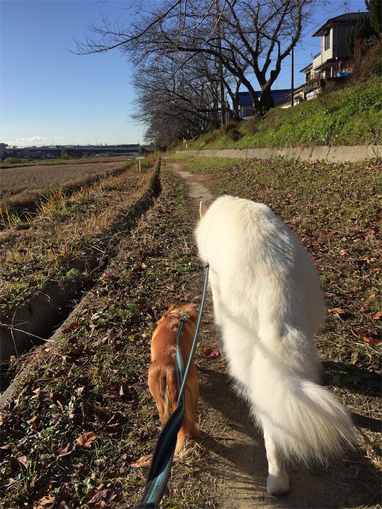 f:id:Lien0927:20171206123627j:image