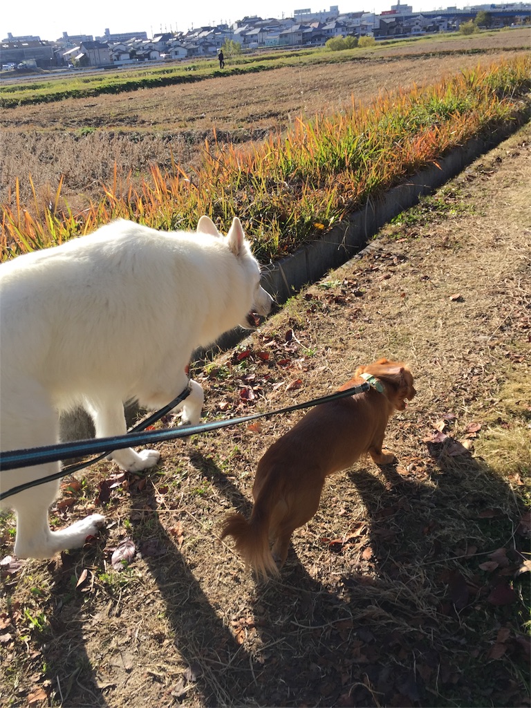 f:id:Lien0927:20171206165514j:image