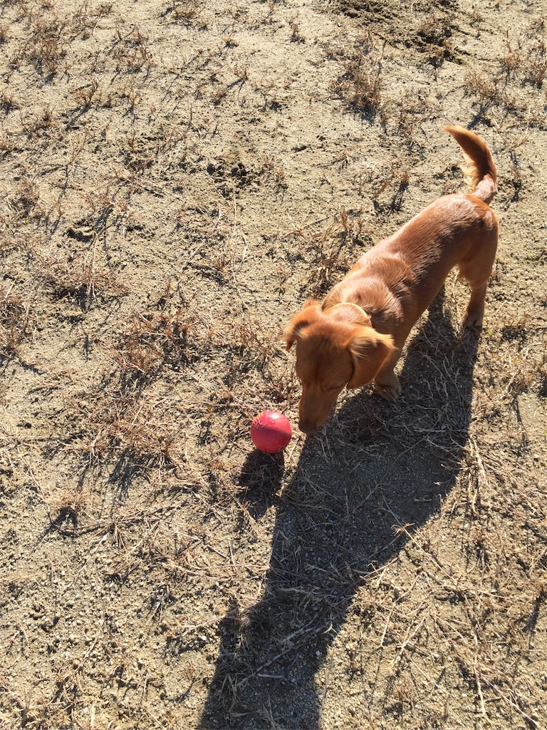 f:id:Lien0927:20171206170942j:image