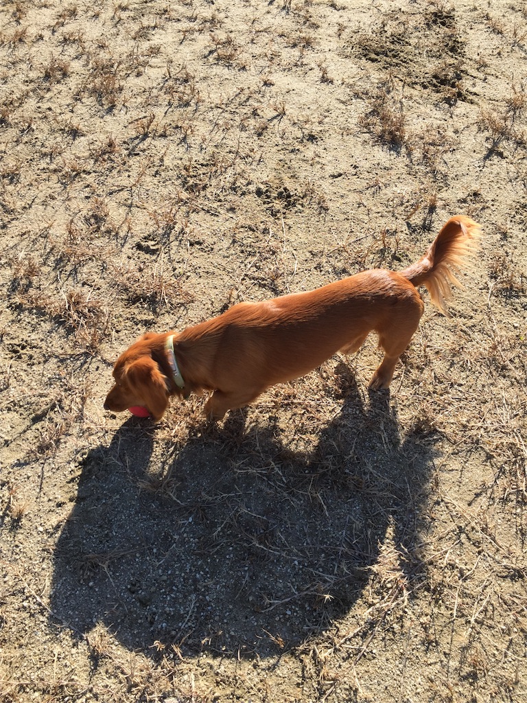 f:id:Lien0927:20171206170948j:image