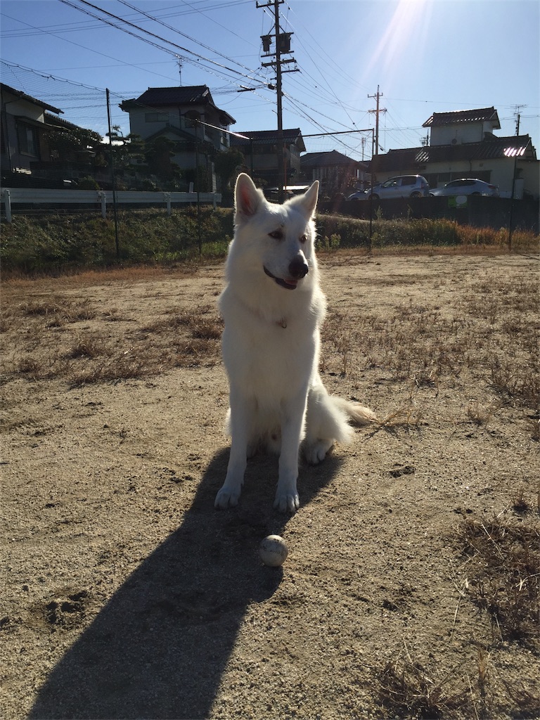 f:id:Lien0927:20171206171105j:image