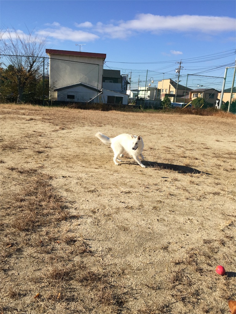 f:id:Lien0927:20171206171156j:image