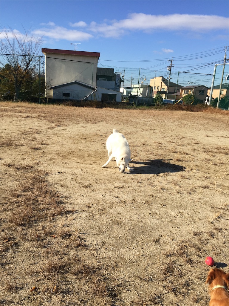 f:id:Lien0927:20171206171221j:image