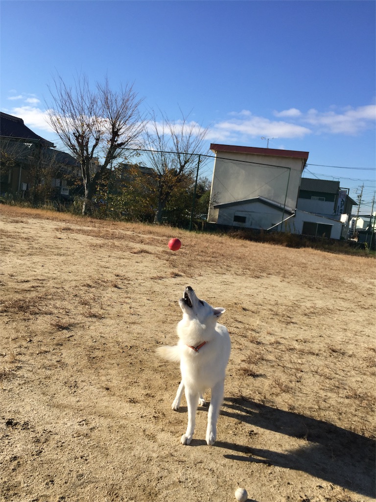 f:id:Lien0927:20171206171318j:image