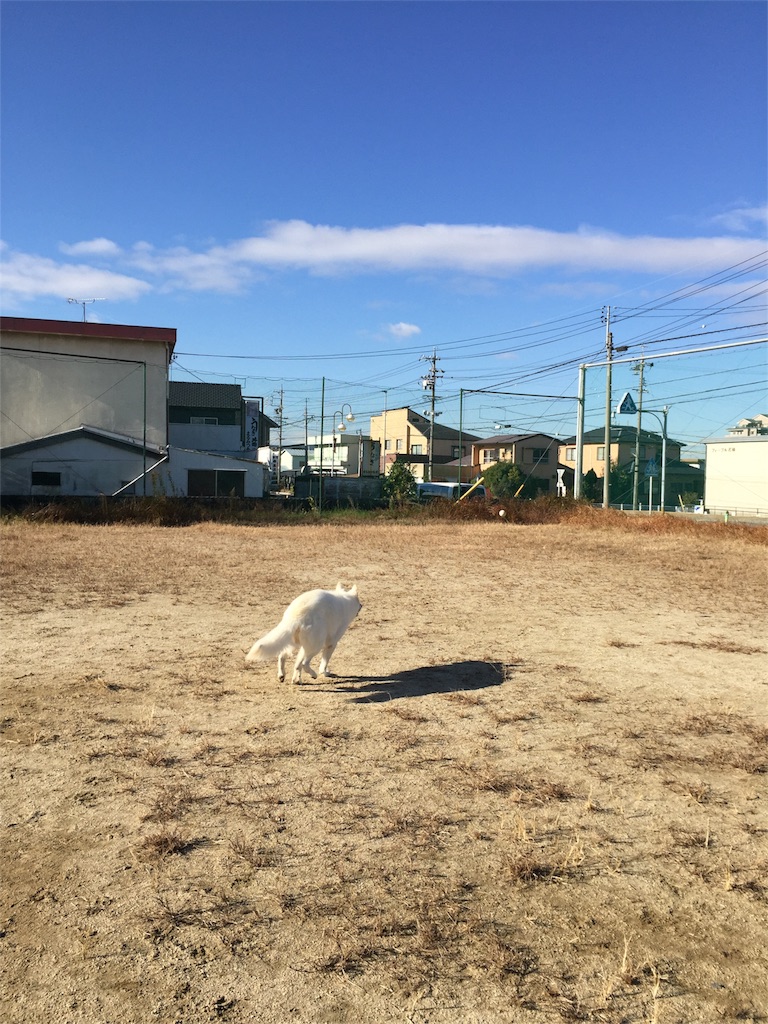 f:id:Lien0927:20171206171450j:image