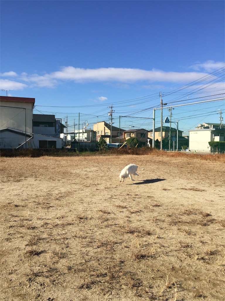 f:id:Lien0927:20171206171458j:image