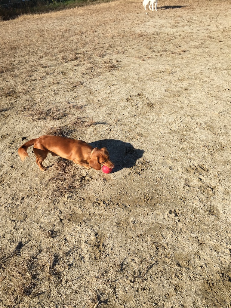 f:id:Lien0927:20171206171542j:image