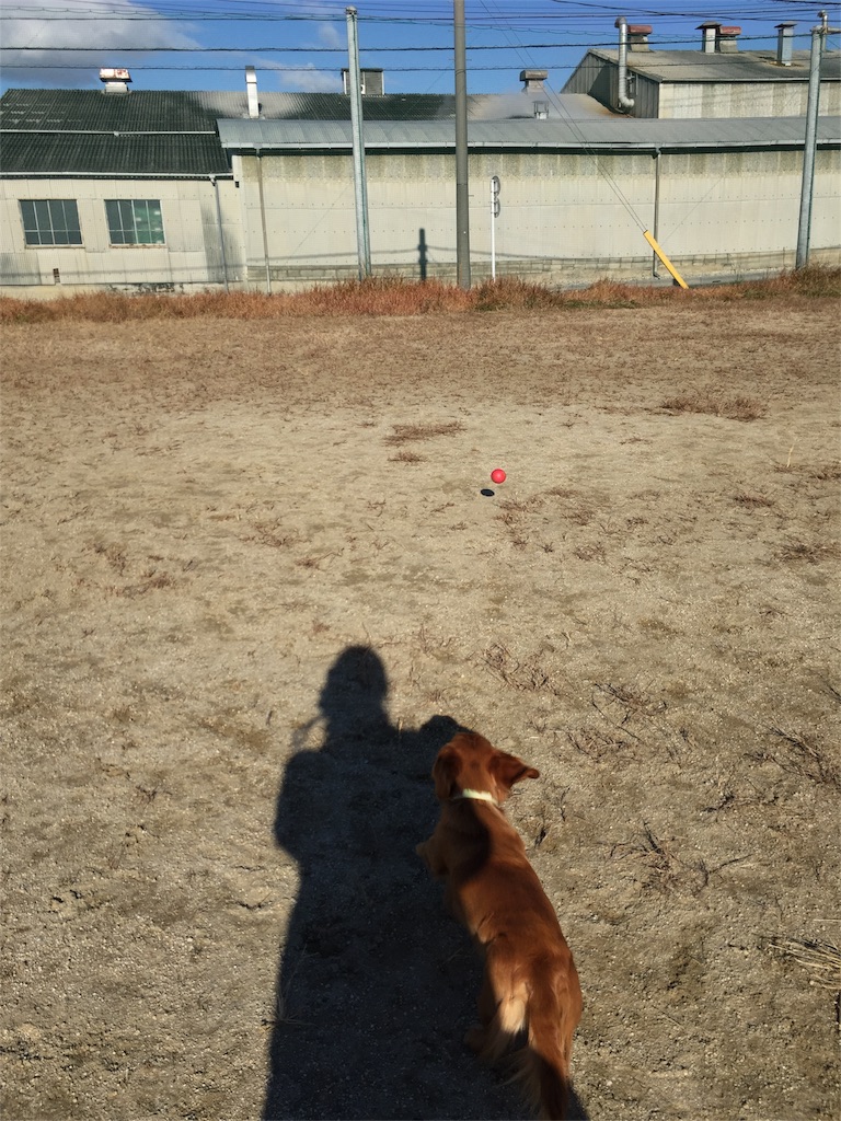 f:id:Lien0927:20171206171621j:image