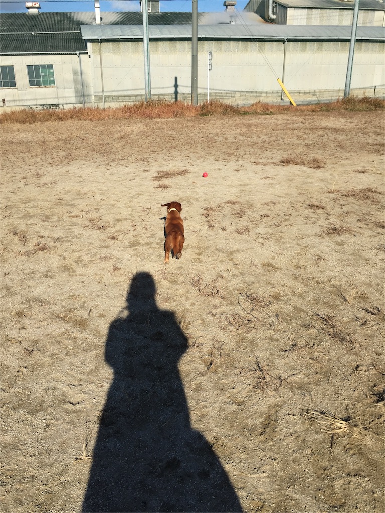 f:id:Lien0927:20171206171627j:image