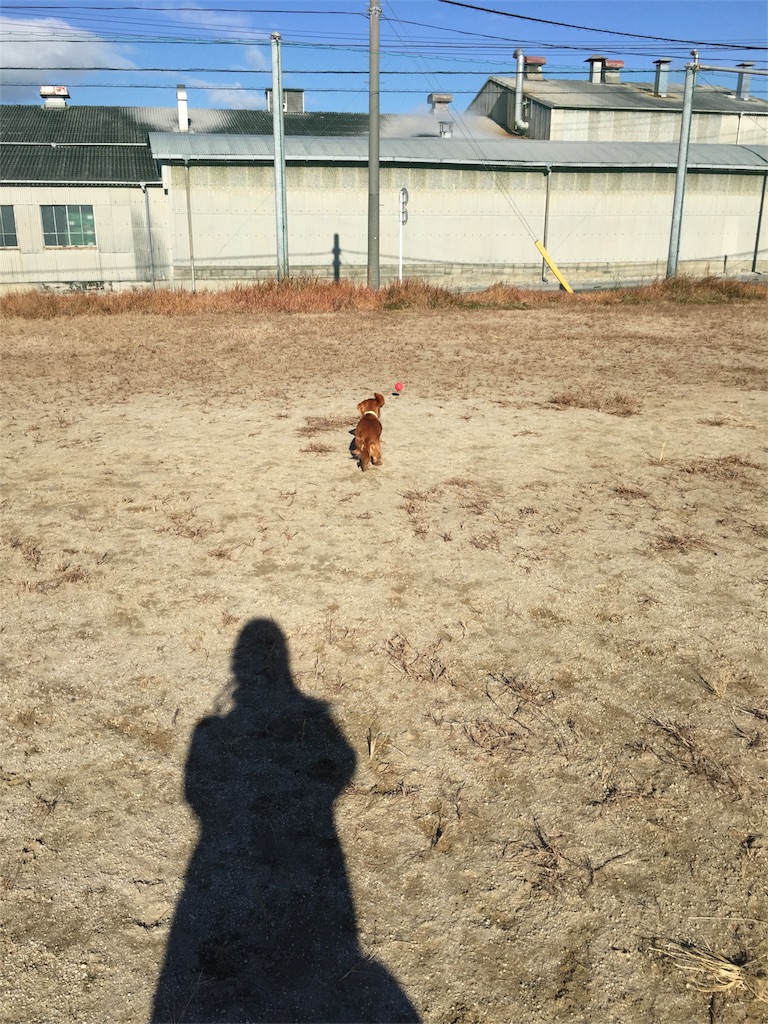 f:id:Lien0927:20171206171631j:image