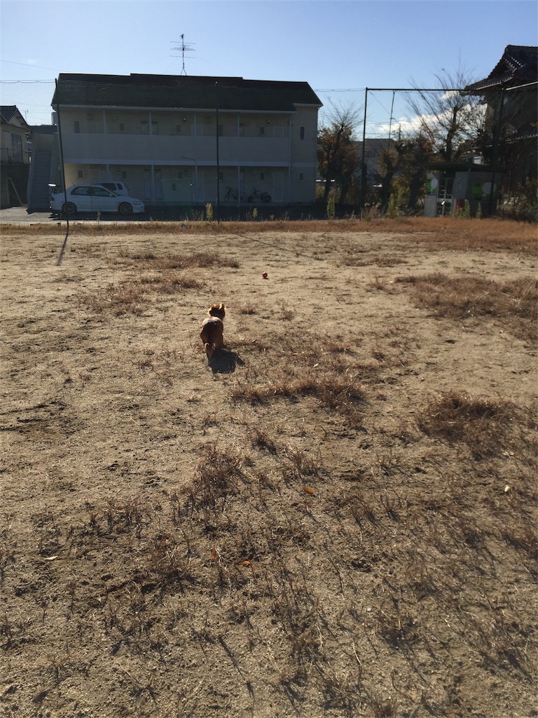 f:id:Lien0927:20171206171838j:image