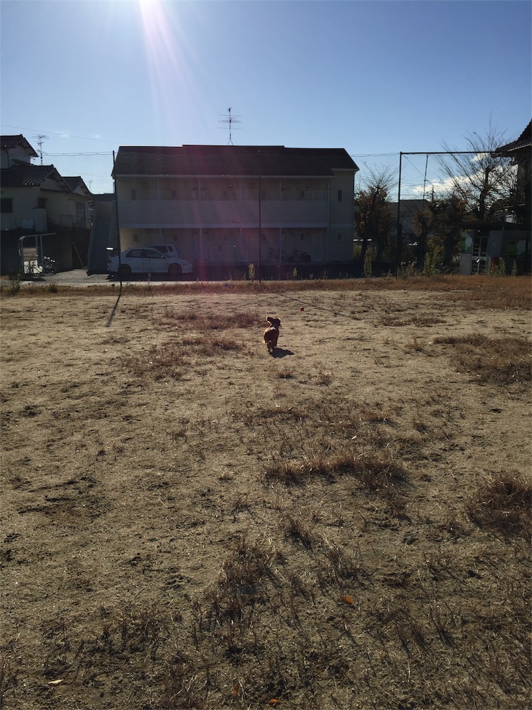 f:id:Lien0927:20171206171846j:image