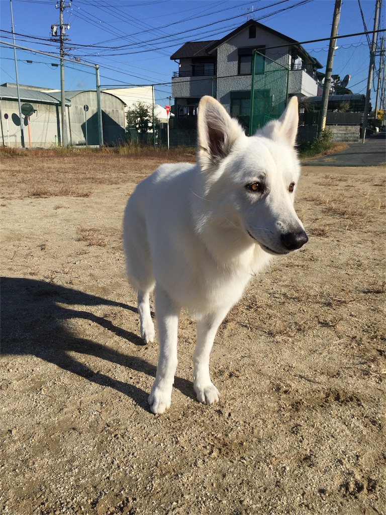 f:id:Lien0927:20171206171940j:image