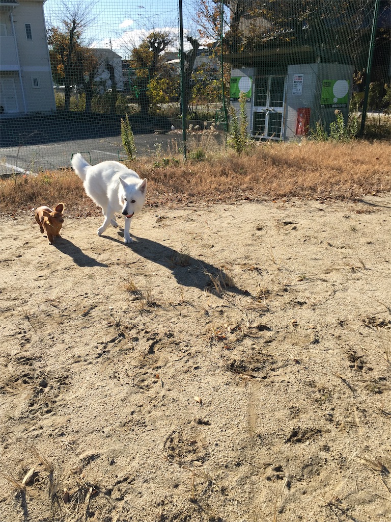 f:id:Lien0927:20171206172106j:image