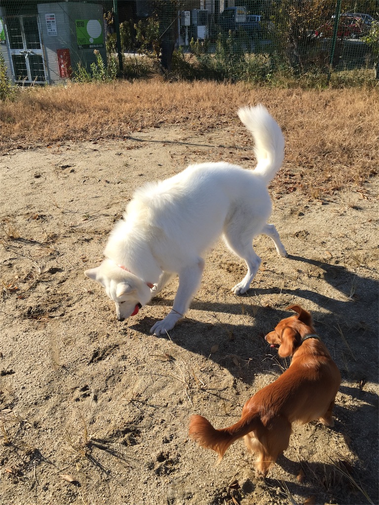 f:id:Lien0927:20171206172119j:image