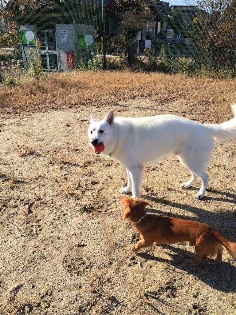 f:id:Lien0927:20171206172132j:image