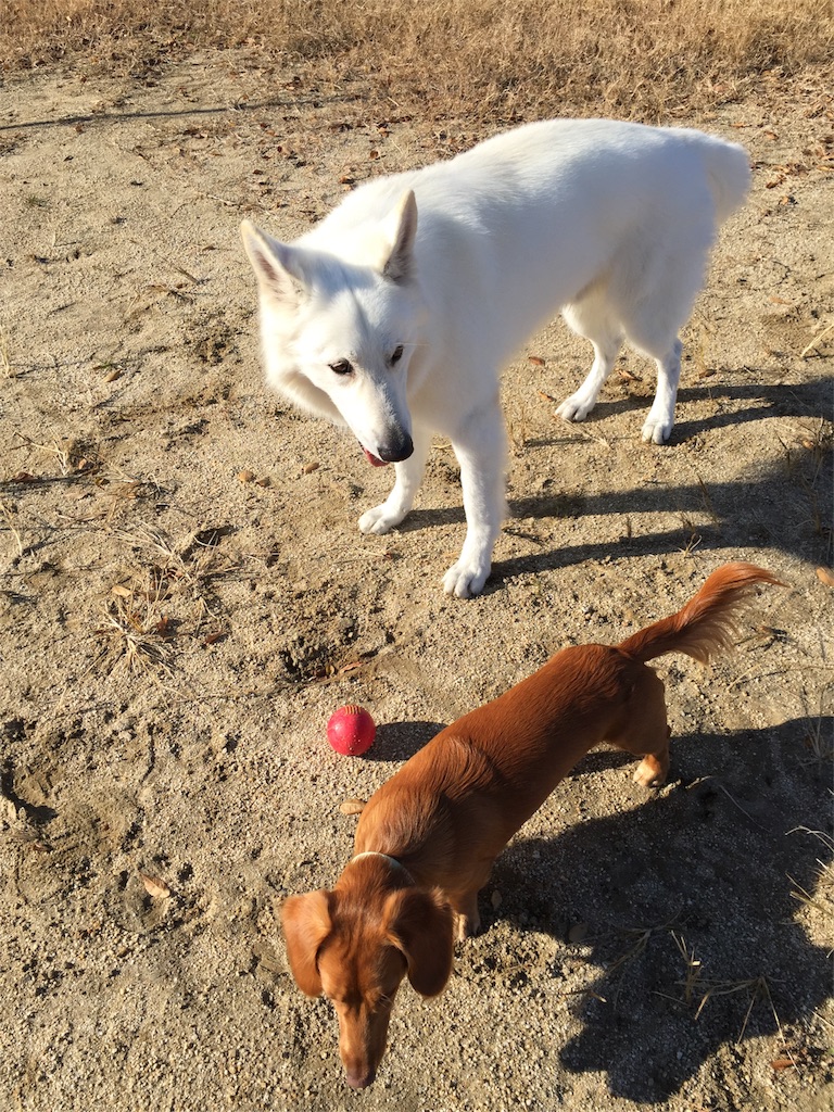 f:id:Lien0927:20171206172133j:image