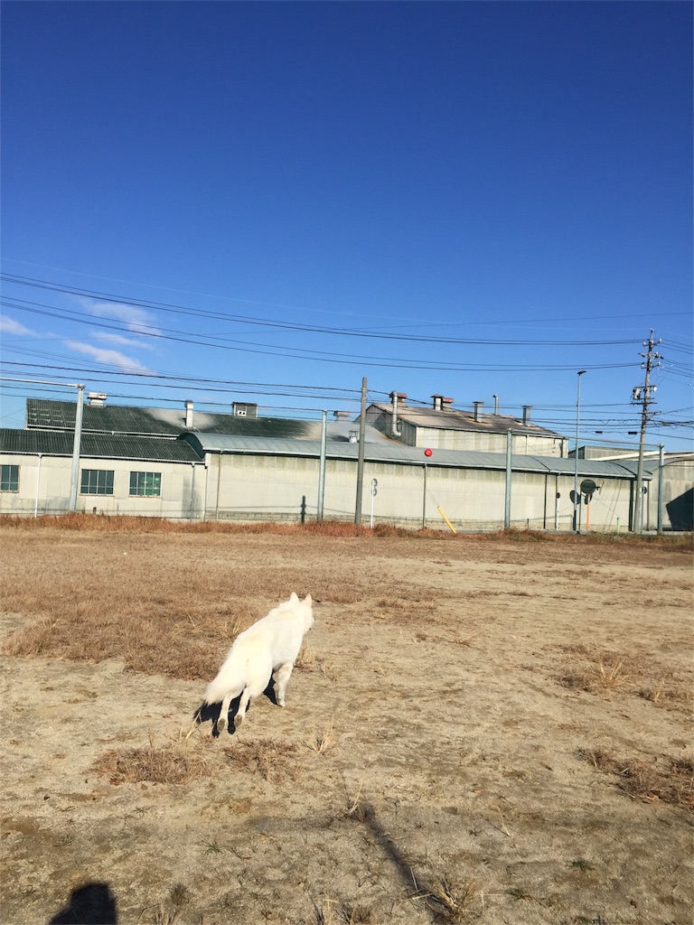 f:id:Lien0927:20171206172254j:image