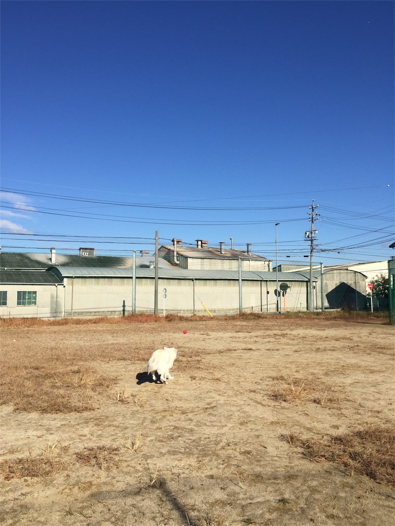 f:id:Lien0927:20171206172259j:image