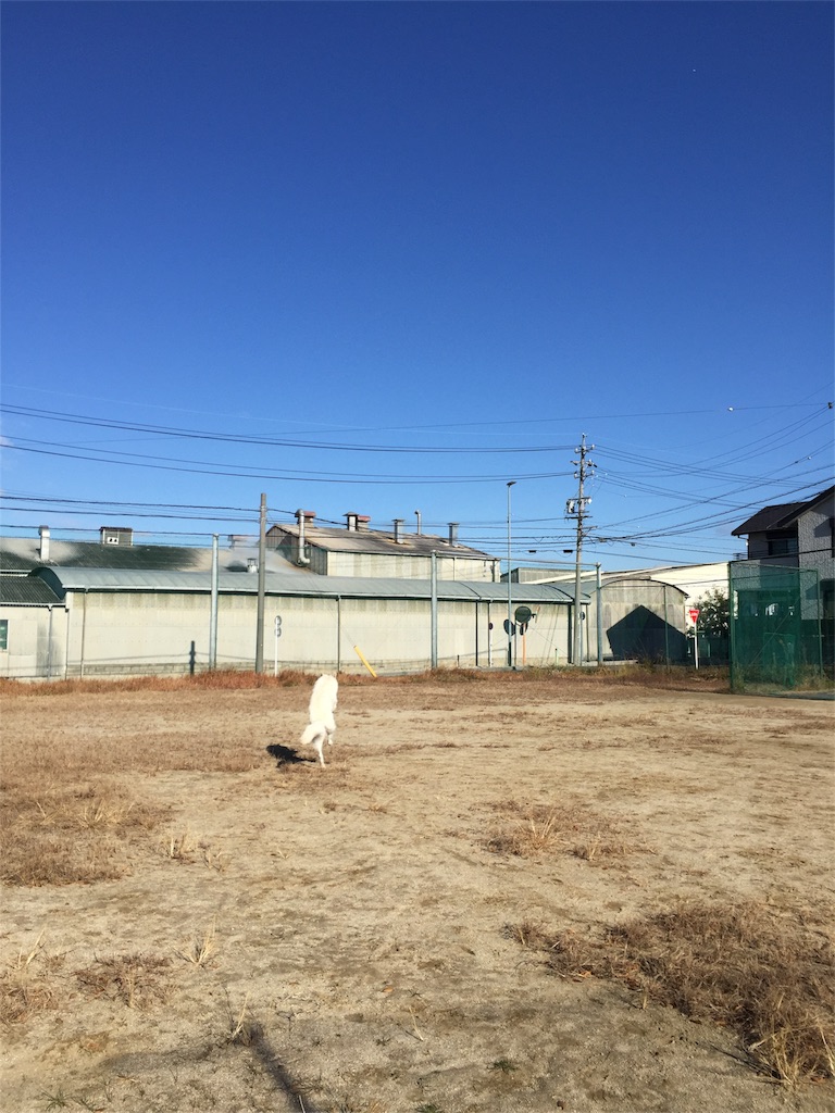 f:id:Lien0927:20171206172300j:image