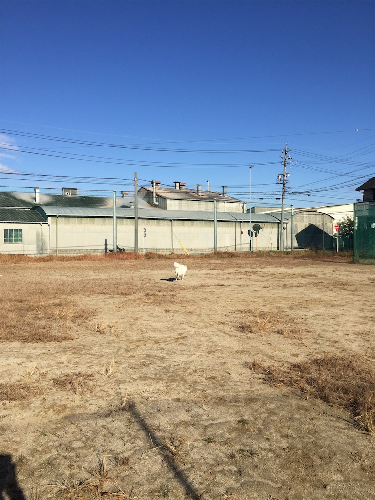 f:id:Lien0927:20171206172304j:image