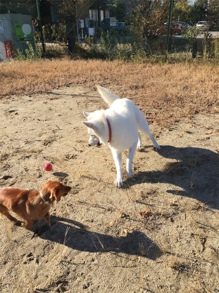 f:id:Lien0927:20171206173048j:image