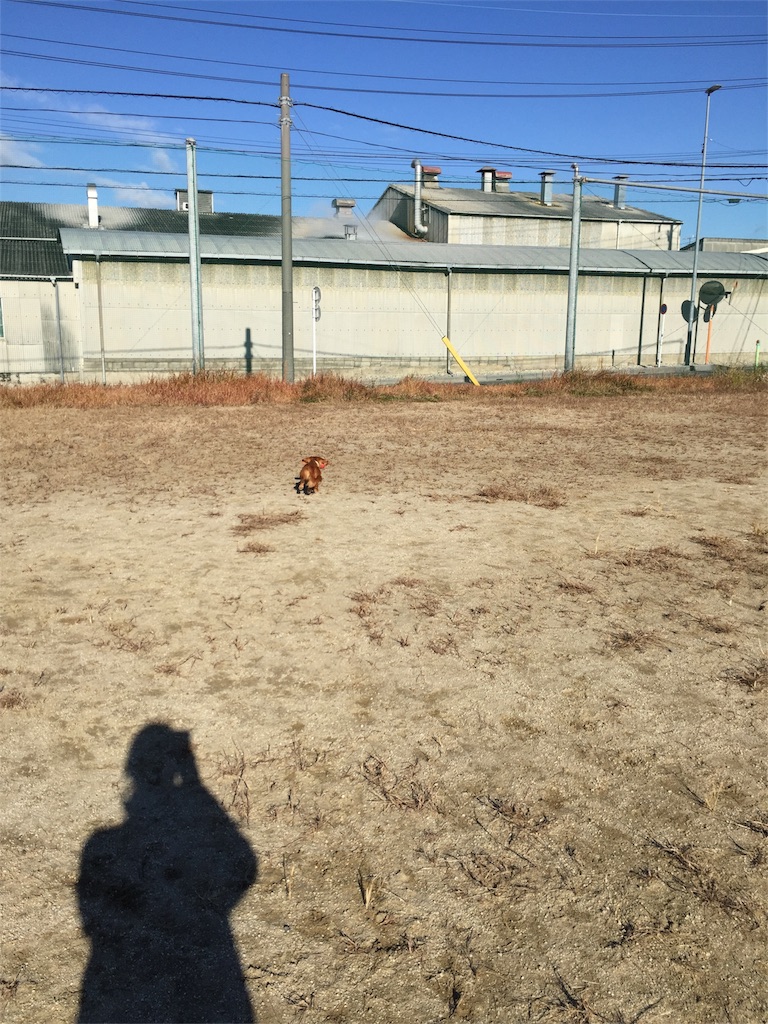 f:id:Lien0927:20171206173409j:image