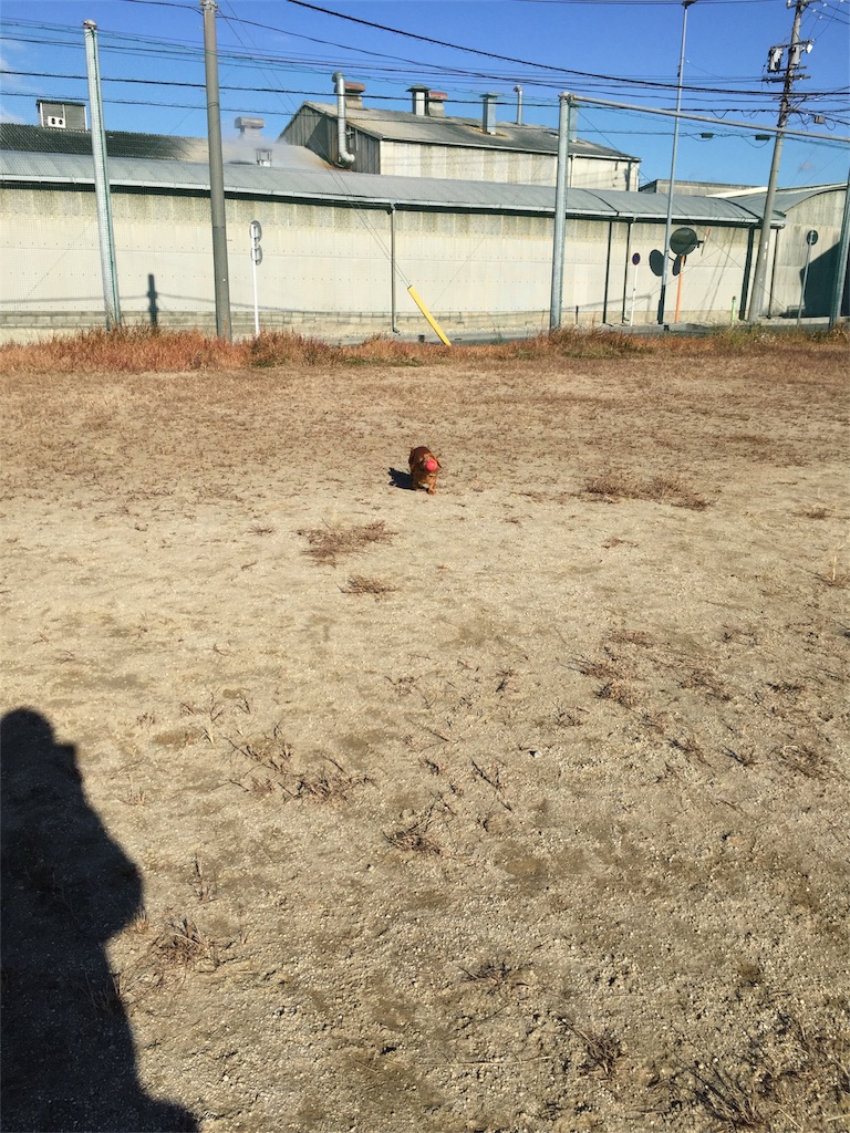 f:id:Lien0927:20171206173444j:image