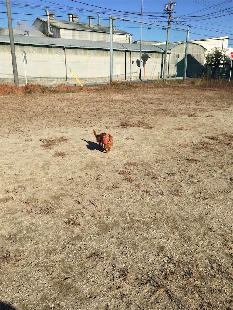 f:id:Lien0927:20171206173453j:image