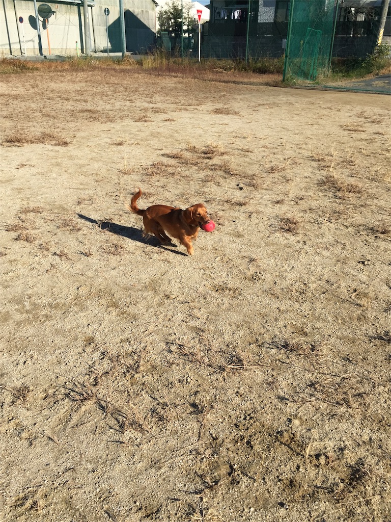 f:id:Lien0927:20171206173540j:image