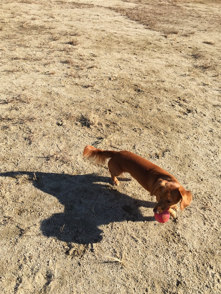 f:id:Lien0927:20171206173546j:image