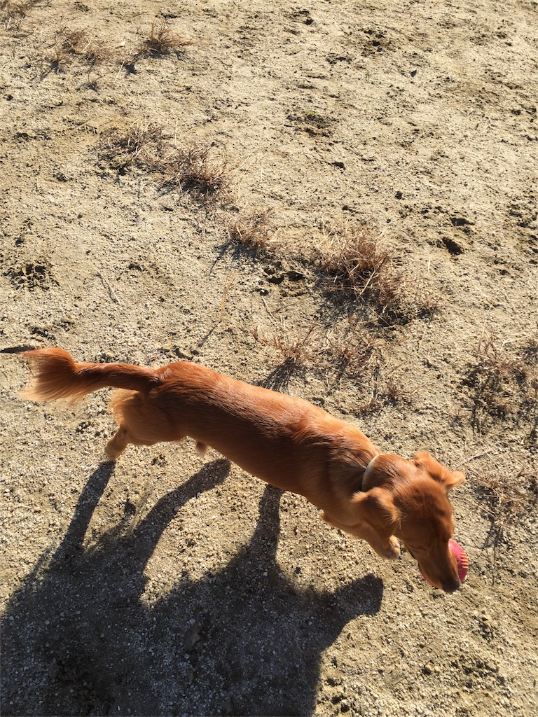 f:id:Lien0927:20171206173553j:image