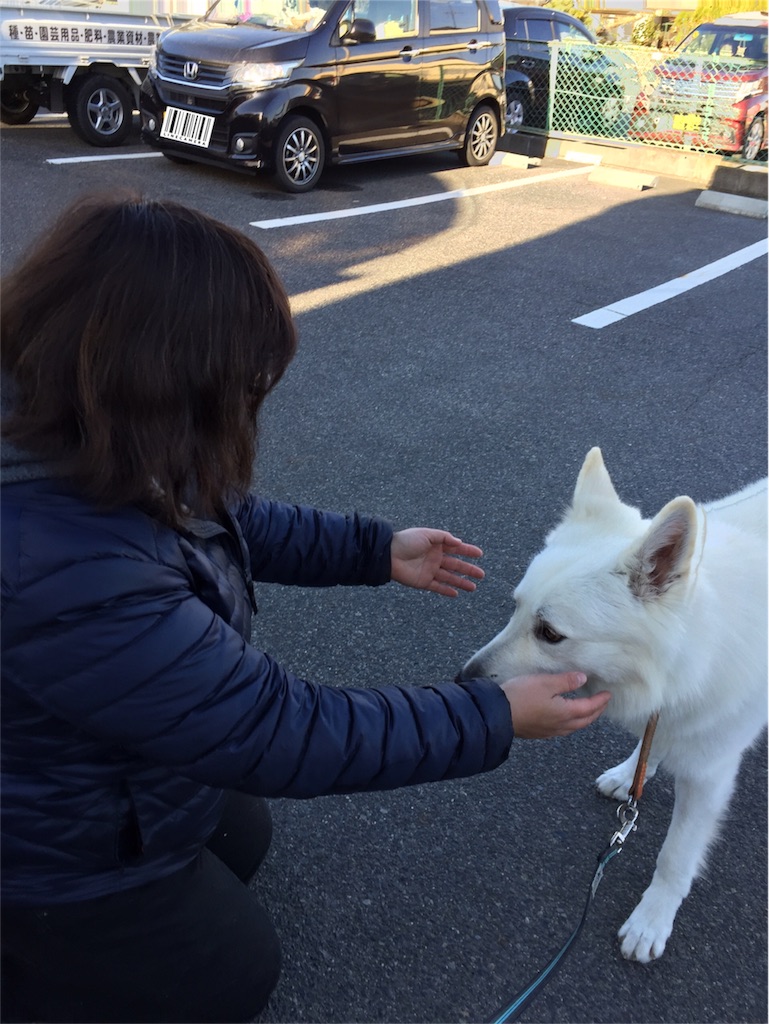 f:id:Lien0927:20171214112500j:image